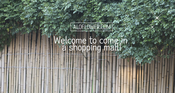 �Ұ��̹���