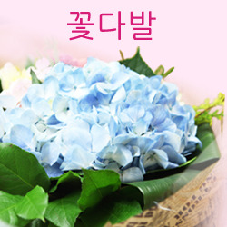 ������ ī�װ��� #1