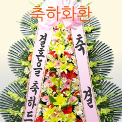 ������ ī�װ��� #5