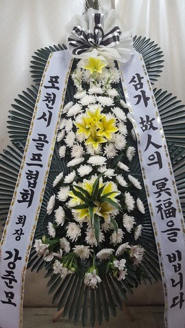 6���� ����ȭȯ ��*�� ������