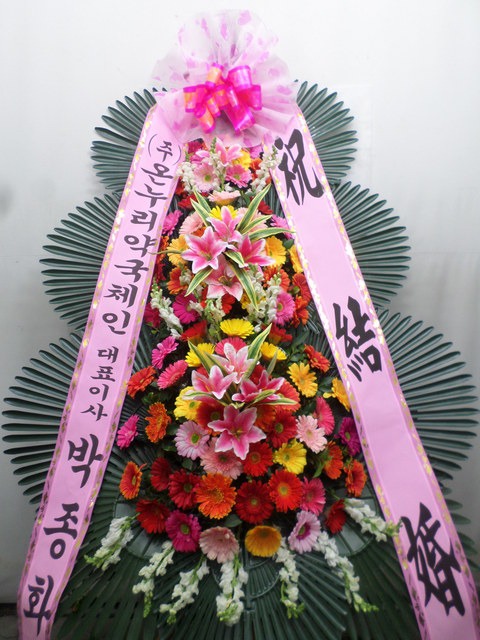 6���� ����ȭȯ ��* ������