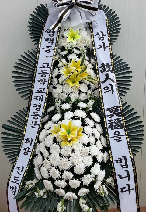 6���� ����ȭȯ