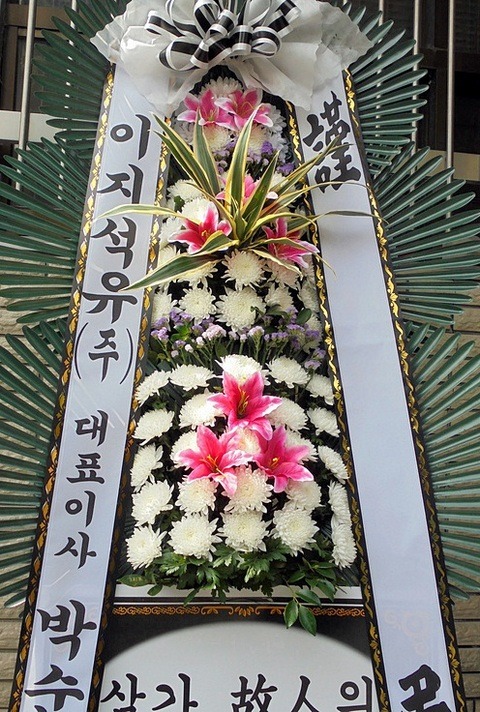 6���� ����ȭȯ