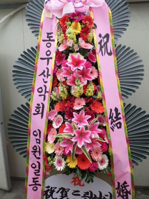 6���� ����ȭȯ