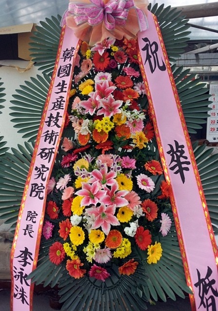 6���� ����ȭȯ ��*ȯ ������