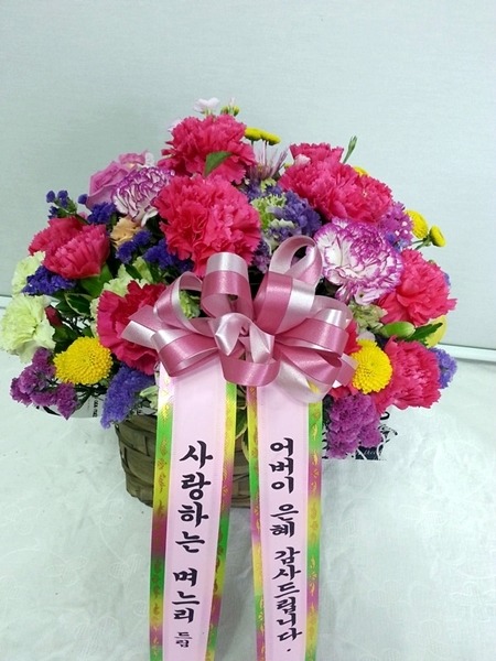 5���� �ɹٱ��� ī���̼� ��*ȣ ������