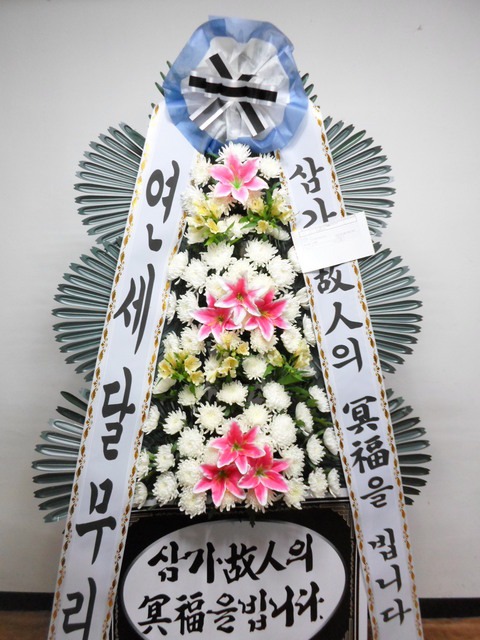 6���� ����ȭȯ ��* ������