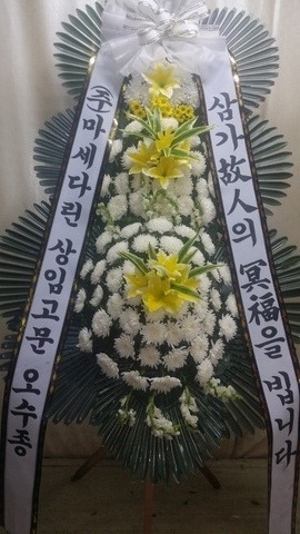 6���� 3�� ����ȭȯ <��*��>