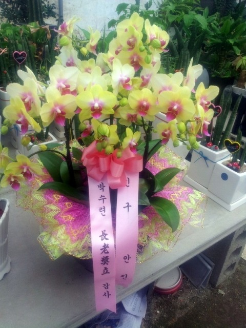 ���糭 <��*��>