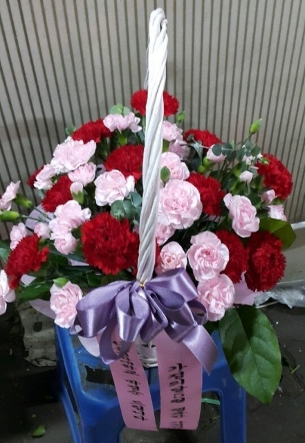 5���� ī���̼� �ɹٱ���                 <��*��>