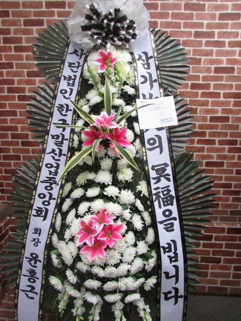 6���� 3�� ����ȭȯ <��*��>