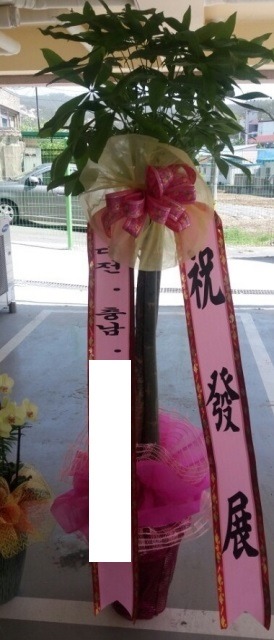 �������� ���� <��*��>