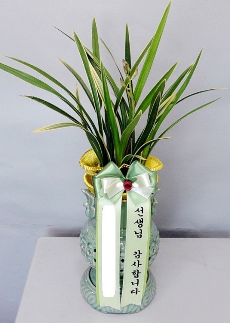 5���� ���糭 <��*��>