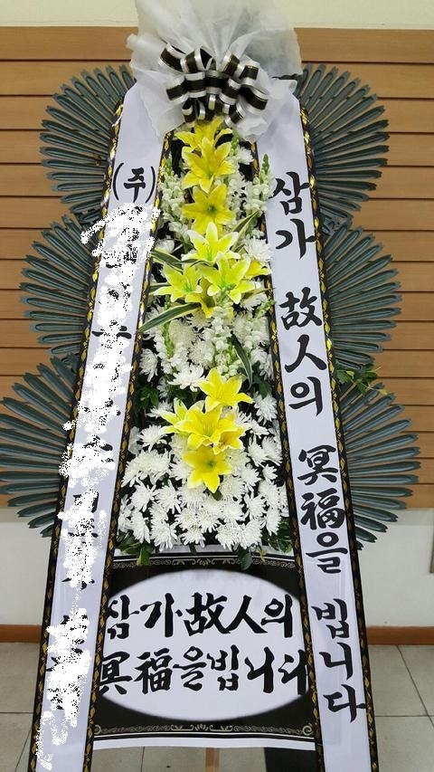 6���� 3�� ����ȭȯ <��*��>