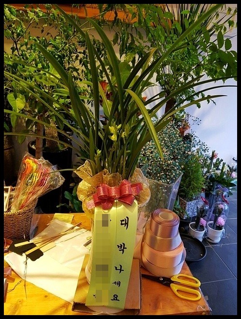 �������� ���糭 <��*��>