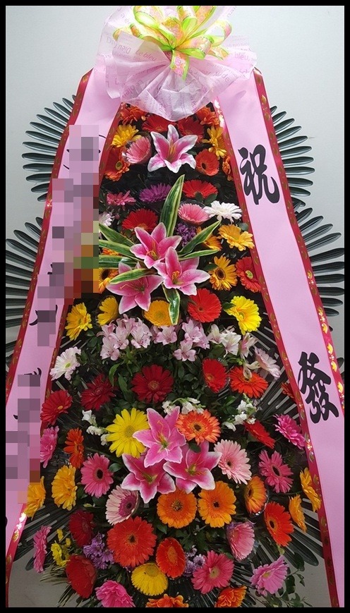 6���� 3�� ����ȭȯ <��*��>