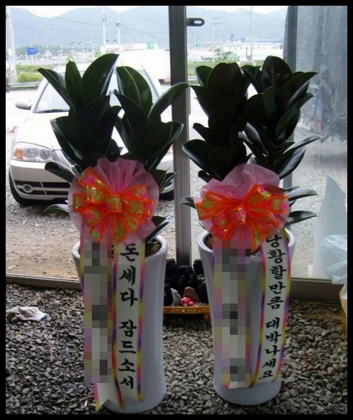 �������� ����<��*��>