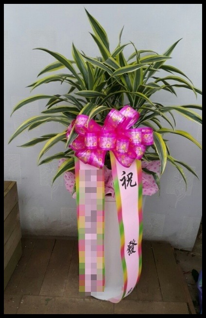 �������� ����<��*��>