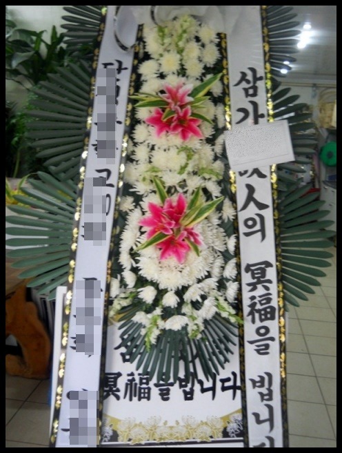 6���� 3�� ����ȭȯ<��*��>