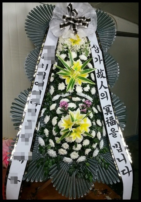 6���� 3�� ����ȭȯ<��*��>