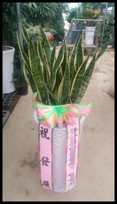 ����<��*��>