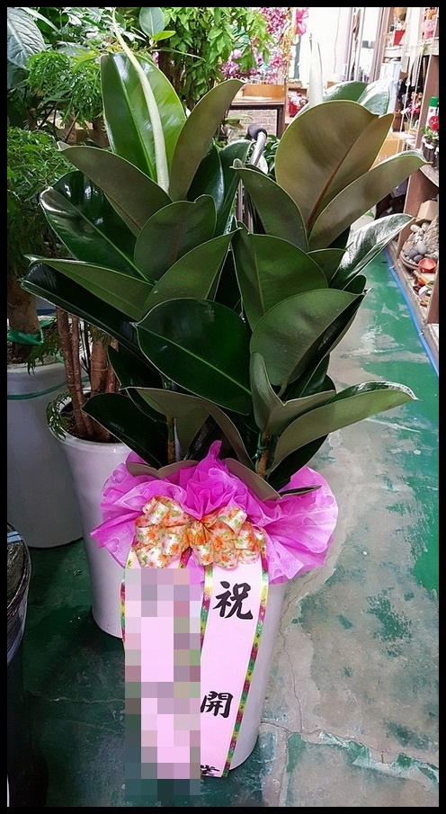 ����ȭ��<��*ȭ>