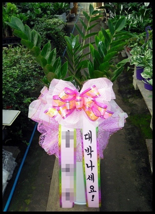 ����ȭ��<��*��>