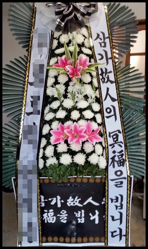 6����3�ܱ���ȭȯ<��*��>