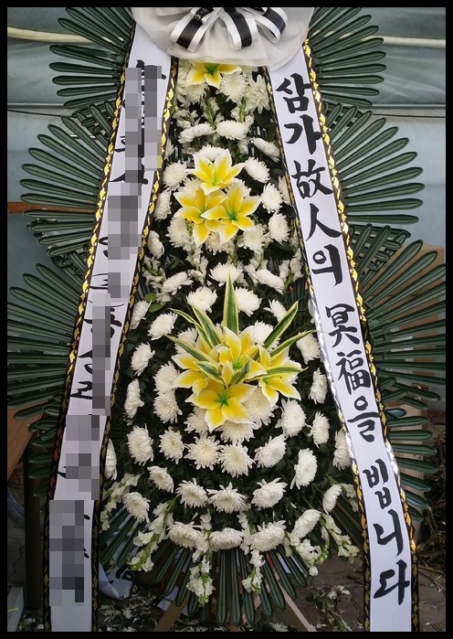 6����3�ܱ���ȭȯ<��*��>