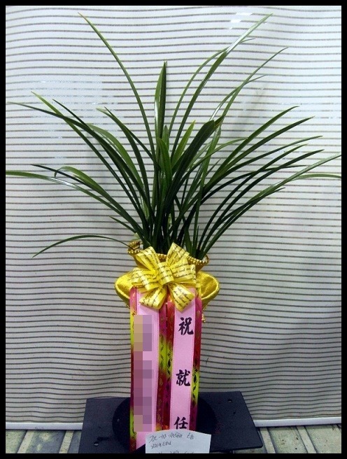 ���糭<��*��>