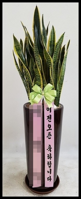 ����ȭ��<��*��>