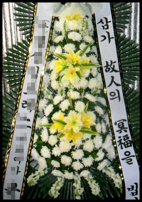 6����3�ܱ���ȭȯ<��*��>