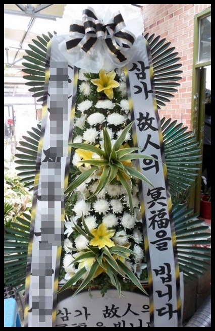 6����3�ܱ���ȭȯ <��*��>