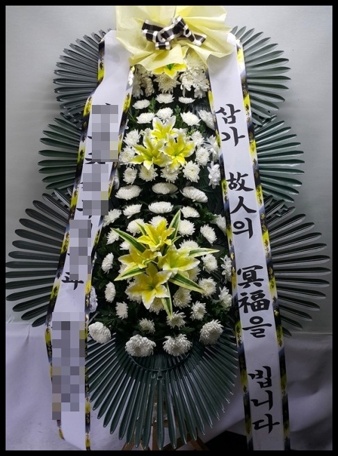 6����3�ܱ���ȭȯ <��*��>