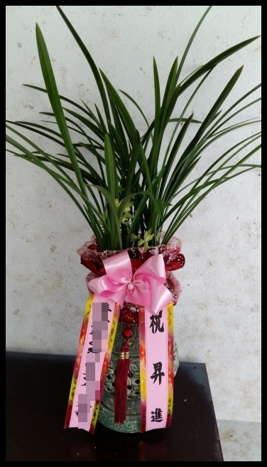 5���� ���糭 <��*��>