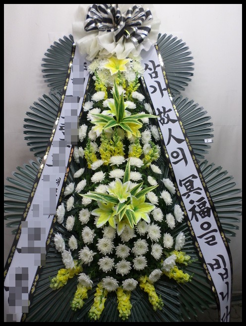 6����3�ܱ���ȭȯ(��*��)