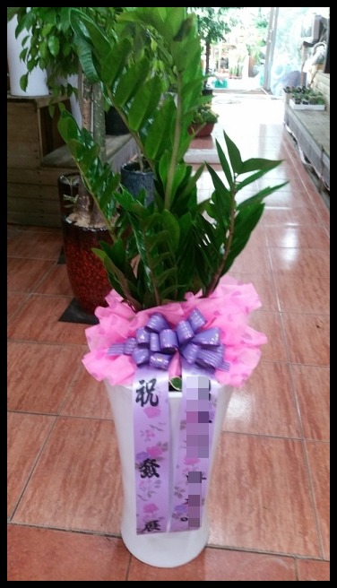 ����ȭ��<��*ö>