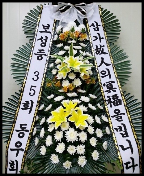 6���� 3�� ����ȭȯ <��*��>