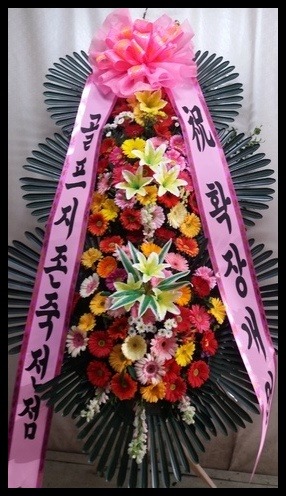 6����3������ȭȯ<��*��>