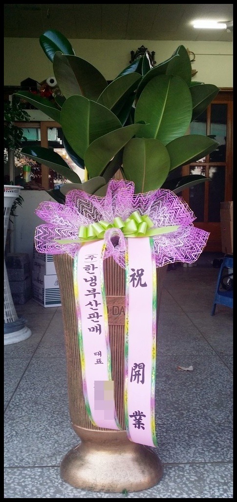 ����ȭ��<��*��>