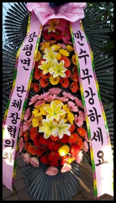 6����3������ȭȯ<��*��>