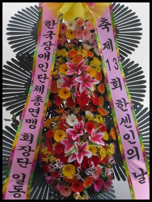 6����3������ȭȯ<��*��>