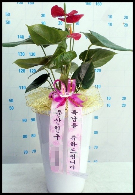 ����ȭ��<��*��>