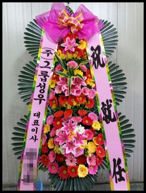 6����3������ȭȯ<��*��>