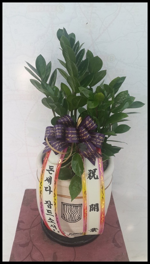 ��������ȭ�� ������<��*��>