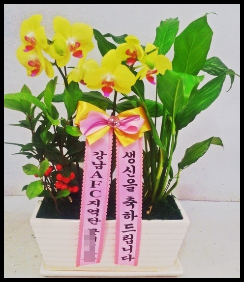 ���糭<��*��>