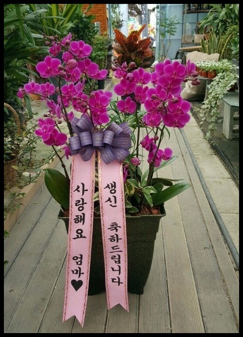 ���糭<��*��>