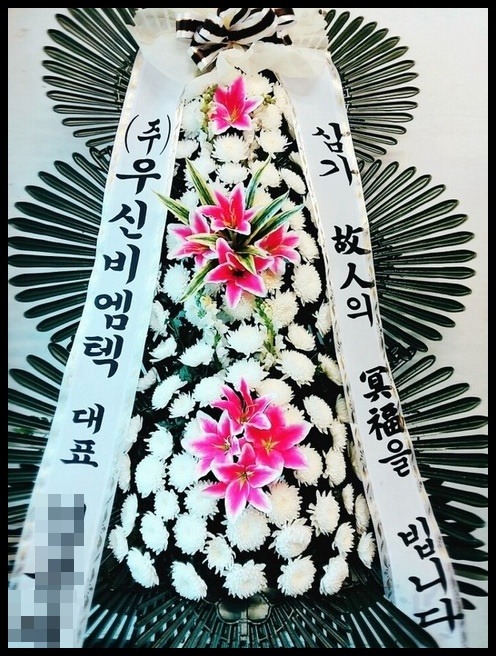 6����3�� ����ȭȯ<��*��>