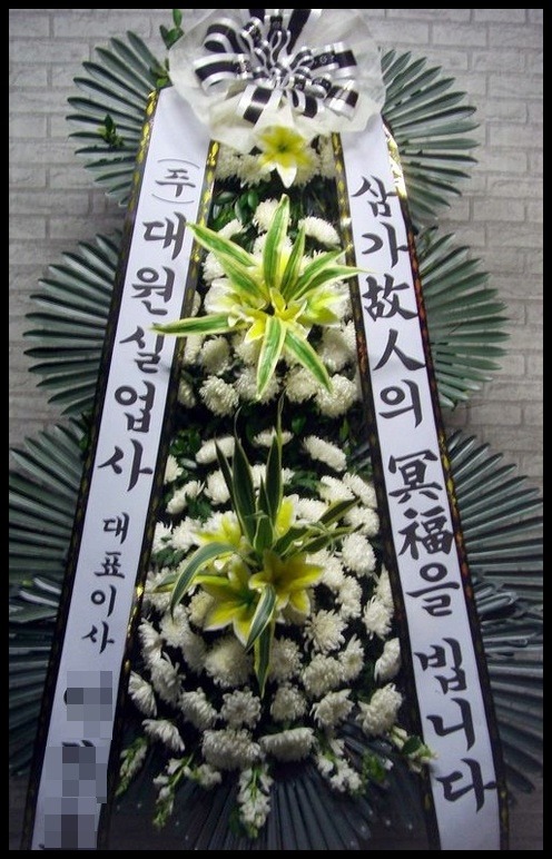 6���� 3�� ����ȭȯ<��*ȣ>