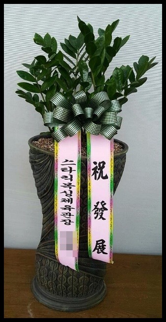 ����ȭ��<��*ȣ>